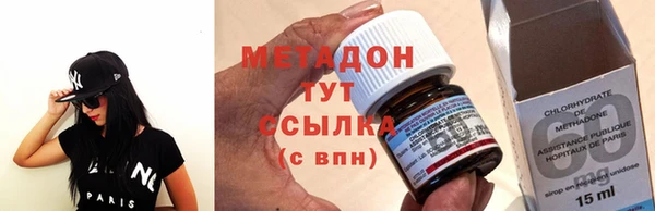 прущие грибы Алексеевка