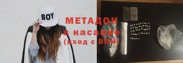 прущие грибы Алексеевка