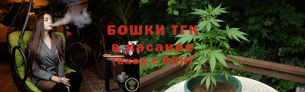 прущие грибы Алексеевка