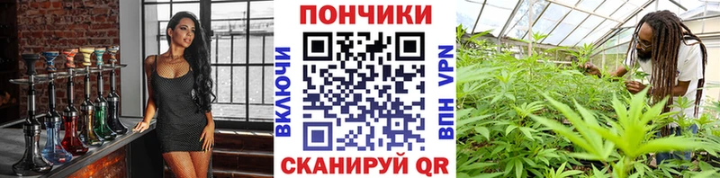 Бошки Шишки планчик Себеж